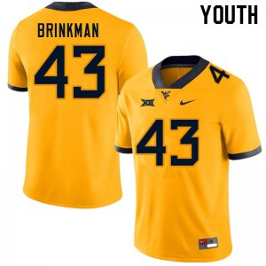 Youth West Virginia Mountaineers NCAA #43 Austin Brinkman Gold Authentic Nike Stitched College Football Jersey YH15Y68WE